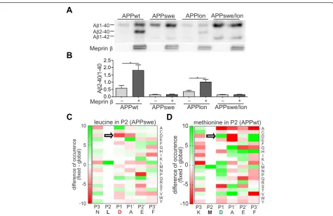 Fig. 7 Meprin β cleavage is affected by mutations in APP. a, b Western Blots of 8 M urea gels showed a distinct Aβ2-40 band in HEK-293 T cellstransiently co-transfected with APP695wt or APPlon and meprin β