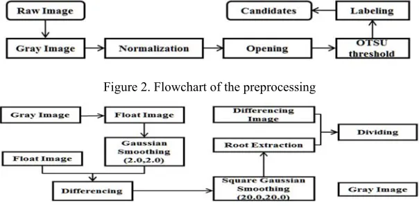 Figure 2. Flowchart of the preprocessing 