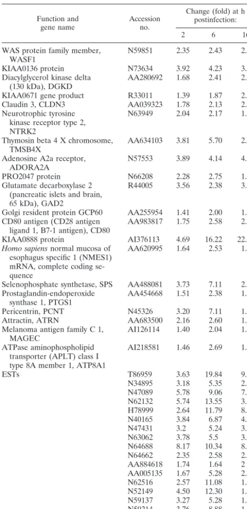 TABLE 1. Genes in cluster 1