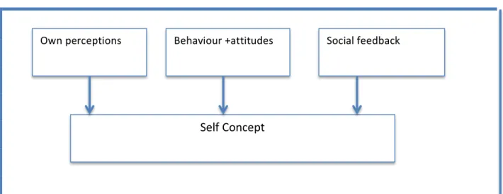Figure 3.2: The process of self-concept development and consolidation   