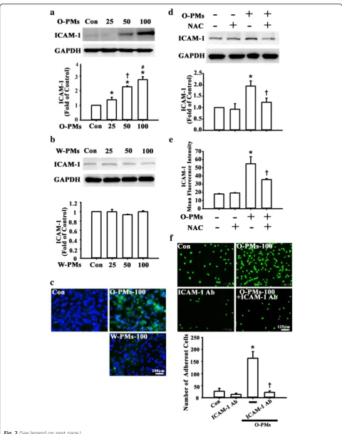 Fig. 2 (See legend on next page.)
