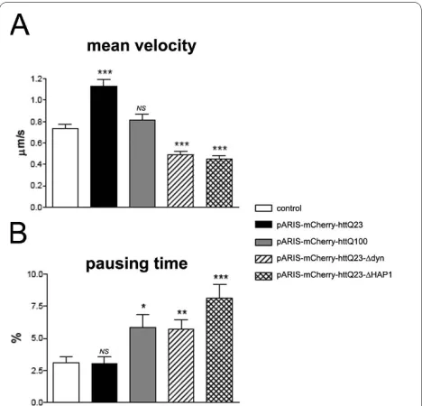 Figure 6 pARIS-mCherry-httQ23 facilitates BDNF transport the mean velocity of BDNF-containing vesicles compared to controls values (BDNF transfection alone)
