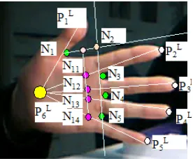 Figure 6. The illumination of hand parameters estimation.