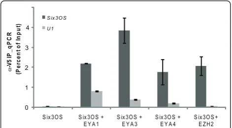 Figure 6 Six3OSand Ezh2-V5 bound to-protein interactions detected via proteinmicroarray