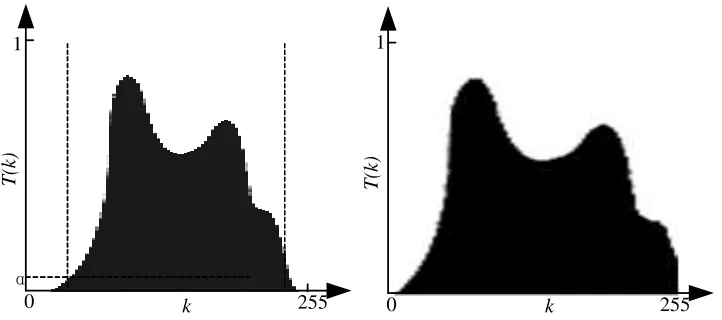 Figure 1. Spreading the intensity values (left: original HE; right: improved HE). 