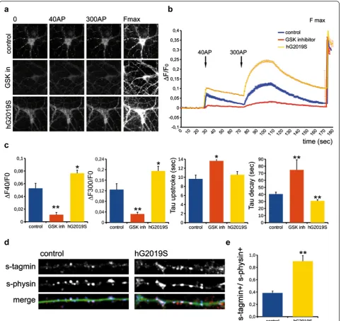 Fig. 1 LRRK2 kinase activity modulates synaptic vesicle fusion. a We recorded synaptophluorin fluorescence from DIV14 wild-type cortical neuronstreated with DMSO (control) or treated with LRRK2 inhibitor GSK2578215A (GSK in, 0.2 μM, 2 h) and from cortical 