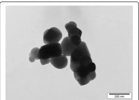 Fig. 1 Transmission electron microscopy image of TiO2 particles.Food- and pharmaceutical-grade anatase TiO2 particles were suspendedin distilled water with 0.5% BSA at a concentration of 1 mg/mL