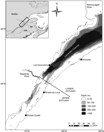 Figure 1. Study area, in the St. Lawrence Estuary, Canada. Upper estuary and lower estuary refer to sectors located west and east of the Saguenay River, respectively
