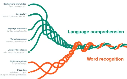 FIGURE 1: THE MANY STRANDS THAT ARE WOVEN INTO SKILLED READING7