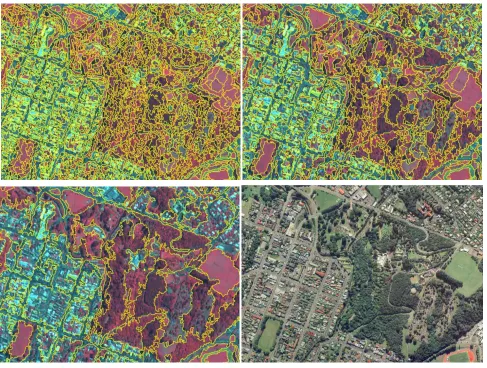 Figure 1. Segmentation of the Ikonos image at the scale of 22 (upper left), 40 (upper right),  