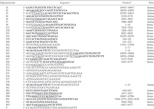 TABLE 1. Oligonucleotides used for ligation, cDNA synthesis, and PCR ampliﬁcation