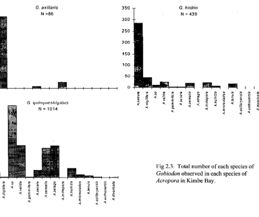 Fig 2.3. Total number of each species of Gobiodon observed in each species of 