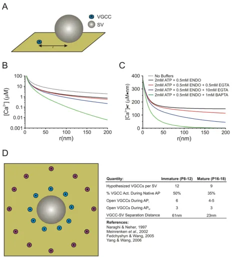 Figure 1Linearized Buffered Diffusion & Release Site Topography ModelLinearized Buffered Diffusion & Release Site Topography Model