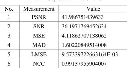 Table 1.  Objective Measurement. 