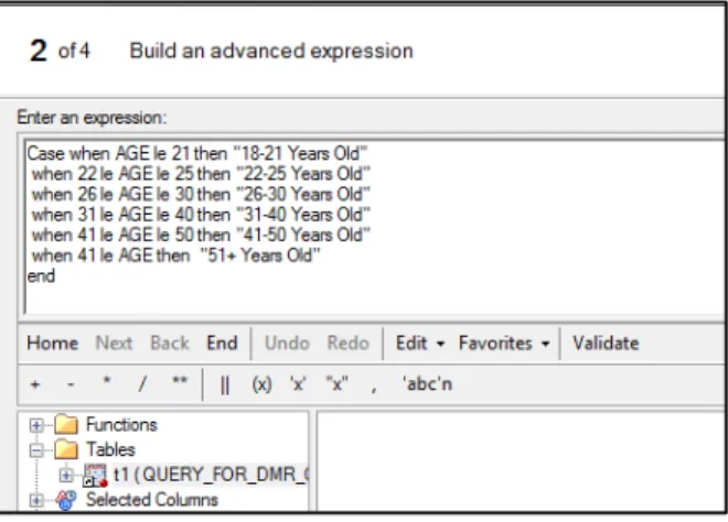 Figure 6.4: Expression Builder to Create Age Group Variable 