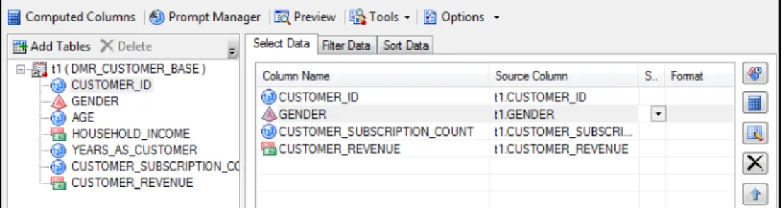 Figure 6.3: Query to Build Age Group on DMR Publishing Customer Data 