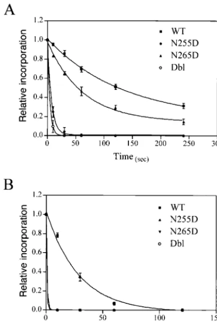 TABLE 1. Dissociation rate constants of wild-type and mutant RTson RNA and DNA template-primersa