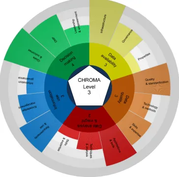 Figure 5. An example of the graphical representation of the application of the CHROMA-SHADE model