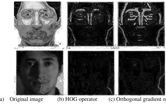 Figure 2. Gradient intensity image with different gradient operator. 