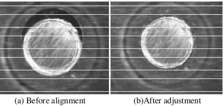 Figure 4. The visual images. 