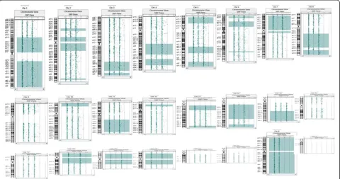 Figure 1 A combined CGH and SNP array on a 6-year old girl who was initially referred for mental problems showed 598 Mb ofhomozygous autosomal genome (light green blocks)