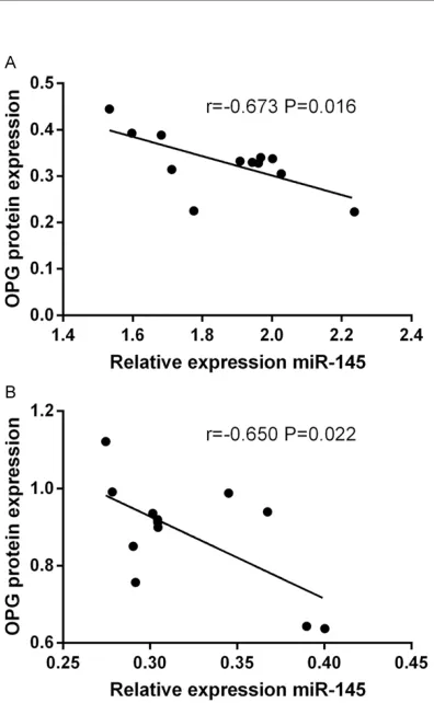 Table 5. Comparison of OPG protein expression in mouse tissues of each group