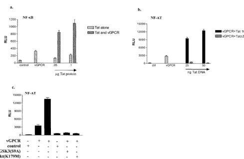 FIG. 7. HIV-1 Tat synergistically enhances the activation of both NF-�and assayed for luciferase activity