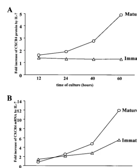 FIG. 3. Effects of SDF-1�ture SP CD4surface expression CXCR4 was analyzed by ﬂow cytometry on imma-ture or mature thymocytes, freshly isolated and after 24 h in culture inthe presence of various concentrations of SDF-1culture in the presence of various cyt