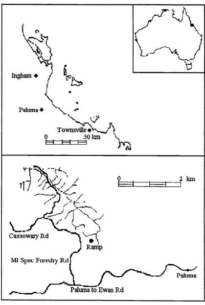 Figure 2.1 The location of the study site (ramp) near Paluma. 