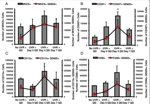 Fig. 7 Flow cytometric analysis of leukocytes in the draining lymph nodes of mice. Mice were treated with QDs 0, 4, or 7 days post 180 mJ/cm2UVB radiation exposure for 24 h and the lymph nodes were processed for analysis
