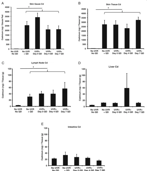 Fig. 3 Atomic Absorption Spectroscopy (AAS) quantitative analysis of QD cadmium in organs
