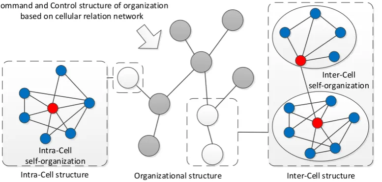 Figure 1. Conceptual model of cellular network structure. 