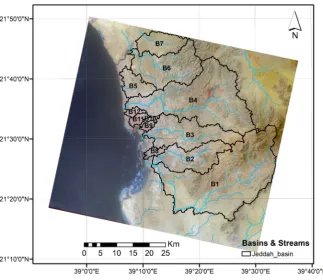 Figure 7. Basins and main streams. 