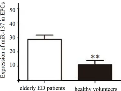 Figure 1. Expression of miR-137 in endothelial pro-genitor cells (EPCs).