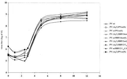 FIG. 5. One-step growth curves for various dual-cre polioviruses. HeLa R19 cells were infected with virus derived from wt and mutant polioviruscDNA plasmids, and the virus yield was determined at the indicated time points (see Materials and Methods).