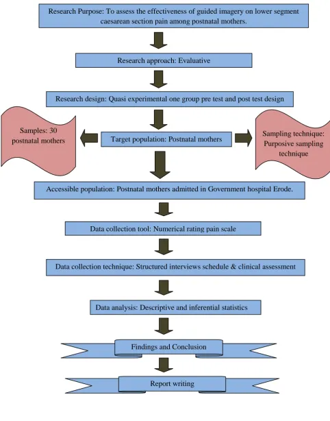 FIGURE: 3.1 SCHEMATIC REPRESENTATION OF STUDY DESIGN. 