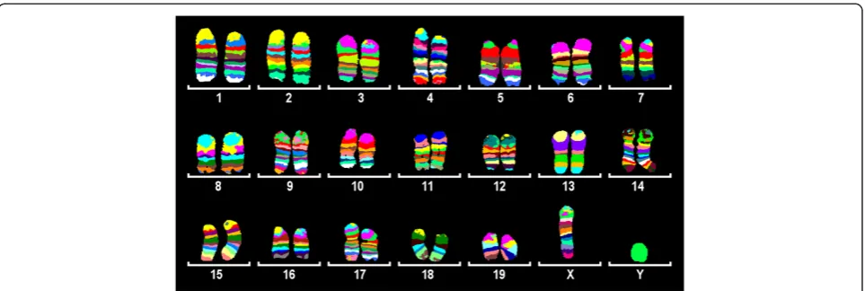 Figure 2 Combined image of pseudocolor pattern for all 19 mouse autosomes and for the X chromosome