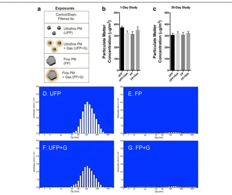Fig. 1 Atmospheric characterization. (a) Visual representation of each exposure group demonstrating the relevant size and complexity of ultrafineparticulate matter (UFP), ultrafine particulate matter combined with vehicular gases (UFP + G), fine particulat