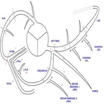 Fig 5. Segmentation of coronary vessels 