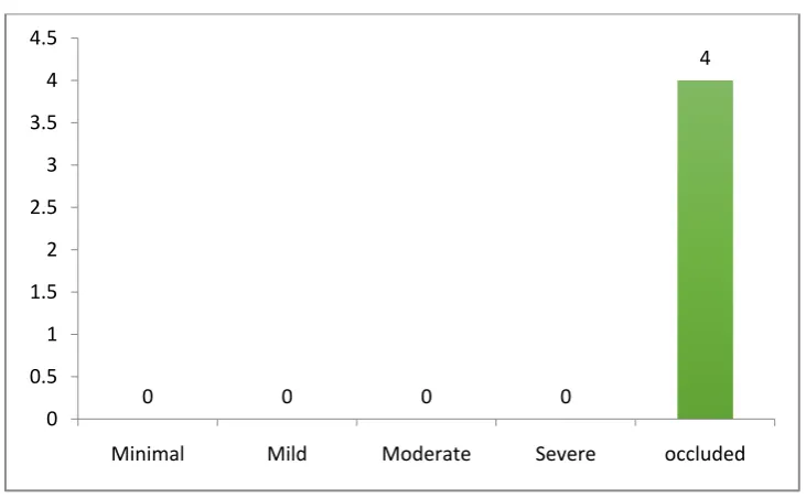 Fig 18 Grading correlation between CT & CATH ANGIO for 