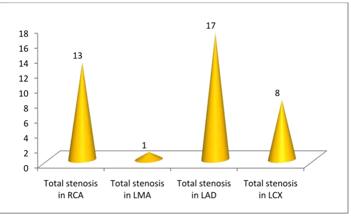 Fig 19 Vessel wise distribution of the stenosis 