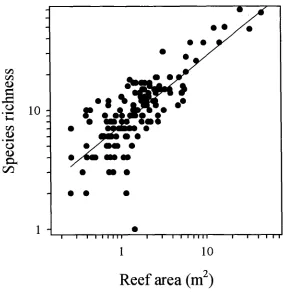 Figure 4.4. Relationship between species richness and patch reef area; slope=0.584, r2=0.656
