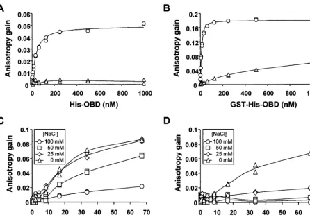 FIG. 3. DNA-binding activity of the large T-antigen OBD and of full-length large T antigen detected by ﬂuorescence anisotropy