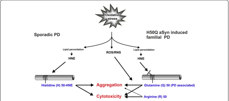 Figure 9 Summary of the impact of aSyn H50 modification and mutation on aSyn pathology.