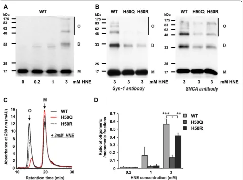 Figure 2 HNE-induced aggregation of WT and H50 mutant aSyn. A)human WT and H50Q/R aSyn were treated with 3 mM HNE for 24 h and analyzed by SDS-PAGE and WB