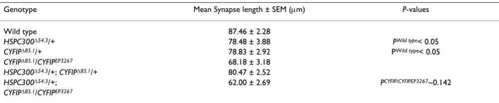 Table 1: Genetic interactions at NMJs