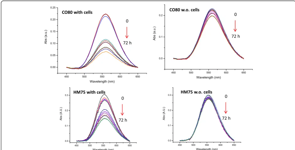 Fig. 2 Calibration curves obtained by plotting calculated area under the UV-vis absorbance curves as a function of the NP concentration