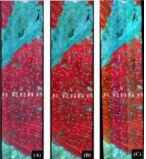 Figure 3. Spectra of three surface types at the overlapped area of CASI images of flightline 1 and  flightline 2 before and after BRDF correction