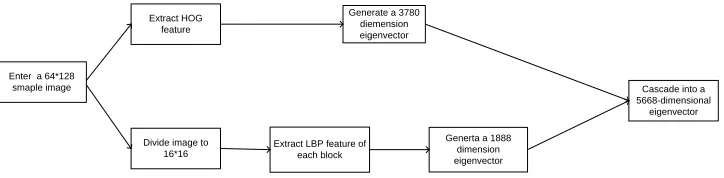 Figure 1. LBP and HOG joint process. 
