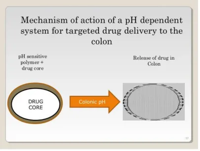 Fig. No – 3: Mechanism of drug release by pH-dependent system to Colon 